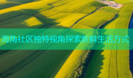海角社区独特视角探索新鲜生活方式