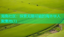 海角社区：探索无限可能的海外华人聚集地(1)