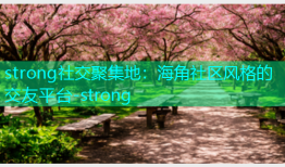 strong社交聚集地：海角社区风格的交友平台-strong
