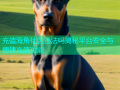 充值海角社区违法吗揭秘平台安全与便捷充值功能
