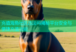 充值海角社区违法吗揭秘平台安全与便捷充值功能