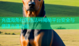 充值海角社区违法吗揭秘平台安全与便捷充值功能