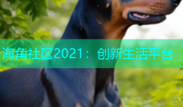 海角社区2021：创新生活平台