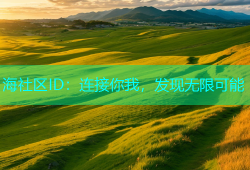 海社区ID：连接你我，发现无限可能
