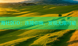 海社区ID：连接你我，发现无限可能