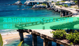 海角社区精彩瞬间全记录 让你不容错过