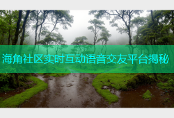 海角社区实时互动语音交友平台揭秘