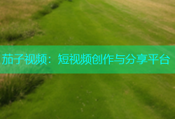 茄子视频：短视频创作与分享平台