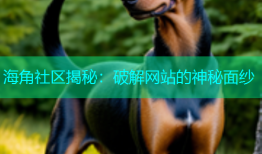 海角社区揭秘：破解网站的神秘面纱