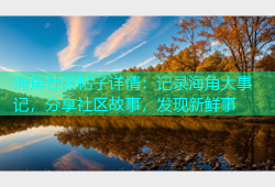 海角社区帖子详情：记录海角大事记，分享社区故事，发现新鲜事