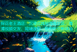 探花老王酒店：沉浸式体验海角社区，高清视频交友，同城速配，轻松社交新体验