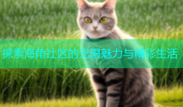 探索海角社区的无限魅力与精彩生活