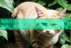 海角社区：全球华人社交平台，多语种交流、资源共享、同城活动一站式体验