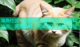 海角社区：全球华人社交平台，多语种交流、资源共享、同城活动一站式体验