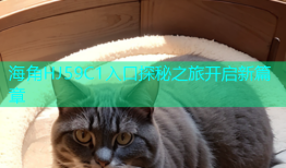 海角HJ59C1入口探秘之旅开启新篇章