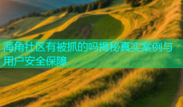 海角社区有被抓的吗揭秘真实案例与用户安全保障