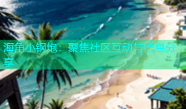 海角小钢炮：聚焦社区互动与信息分享