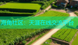 海角社区：天涯在线交流平台