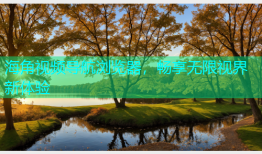 海角视频导航浏览器，畅享无限视界新体验