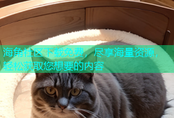 海角社区下载免费，尽享海量资源，轻松获取您想要的内容