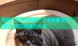 海角社区下载免费，尽享海量资源，轻松获取您想要的内容