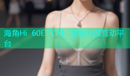 海角Hi 60E.CCM：智能社区互动平台