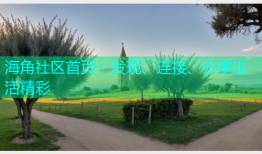 海角社区首页：发现、连接、分享生活精彩
