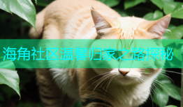 海角社区温馨归家之路探秘