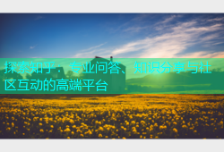 探索知乎：专业问答、知识分享与社区互动的高端平台
