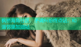 枫桥海角社区：矛调纠纷终点站，和谐邻里加油站