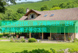探索知乎社区：除了海角社区，还有更多精彩圈子等你发现