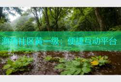 海角社区黄一级：便捷互动平台