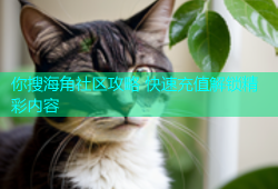 你搜海角社区攻略 快速充值解锁精彩内容
