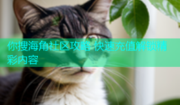 你搜海角社区攻略 快速充值解锁精彩内容