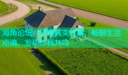 海角论坛：探索真实故事，畅聊生活点滴，发现你我共鸣