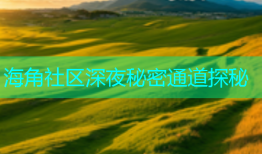 海角社区深夜秘密通道探秘