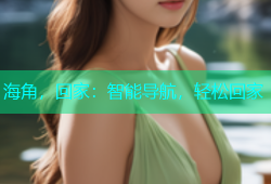 海角，回家：智能导航，轻松回家