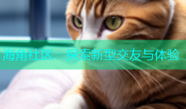 海角社区：探索新型交友与体验