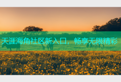 天涯海角社区新入口，畅享无限精彩