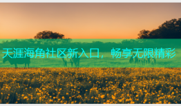 天涯海角社区新入口，畅享无限精彩