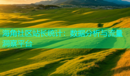 海角社区站长统计：数据分析与流量洞察平台