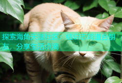 探索海角天涯社区：结识志同道合朋友，分享生活点滴
