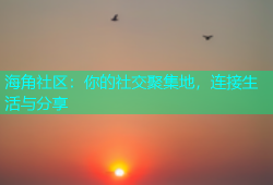 海角社区：你的社交聚集地，连接生活与分享