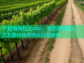 下载海角社区app，享受语音聊天、交友配对和多样化社交体验