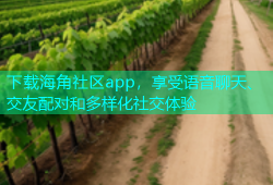 下载海角社区app，享受语音聊天、交友配对和多样化社交体验