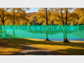 海角游戏社区畅享实时互动与兴趣社交