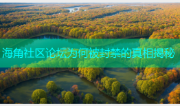 海角社区论坛为何被封禁的真相揭秘