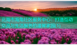 北海市海角社区服务中心：打造互动交流与生活服务的温馨家园(1)