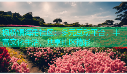 枫桥镇海角社区：多元互动平台，丰富文化生活，共享社区精彩