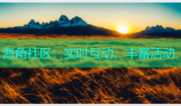 海角社区：实时互动、丰富活动